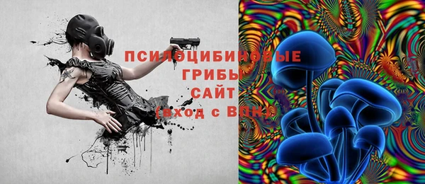прущая мука Михайлов